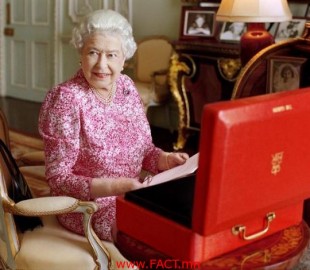 olloo_mn_1510025584_QUEEN-PARADISE_PAP_3208478f