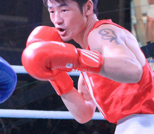 51q9rs6prrb1a1n3us7e7j9nep_b