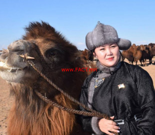 27971715_1610938305656536_3497991473599418412_n