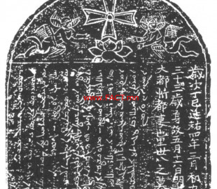 27972691_460000511083778_4449595234212329418_n