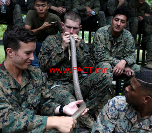 495EBFC400000578-5408303-image-a-25_1519051904240