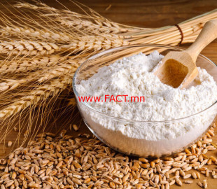 5a1bc770ba60c5ea4e643f06ff839247