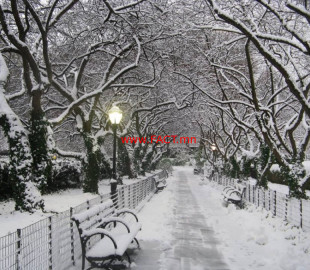 olloo_mn_1514085438_tsas