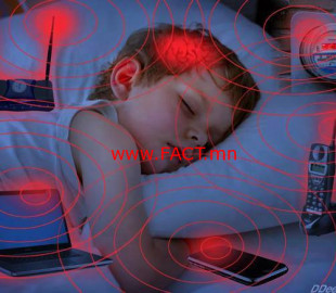 11243644_370225306504773_7205656975812603070_n