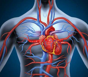 9c3a09f6445a8c12f1fad748e9a59f50