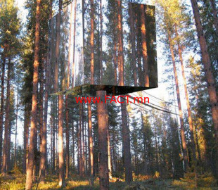 12038534_874633835955591_1062724351625202144_n