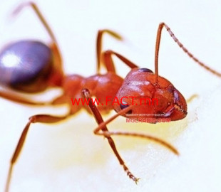 15277012145b0edede0c184