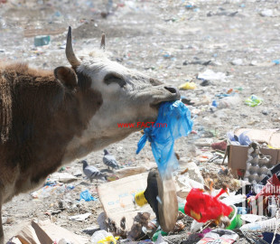 225120-02052018-1525235286-502673686-zgm