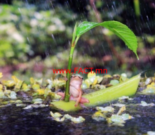 97231545aff9df531de501