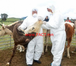 e3297ae4c61f82dd89f6ae3c6b48aebd