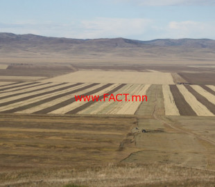 olloo_mn_1526455617_taria