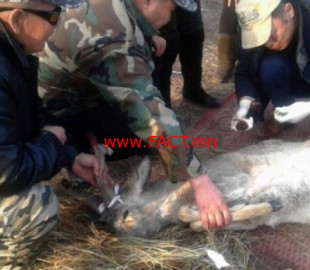 olloo_mn_1528163967_gurus