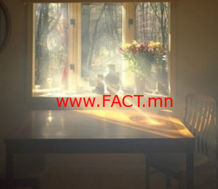 15327717965b5c3dd4f3c9b