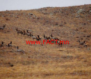 15335223815b67b1cd46e35