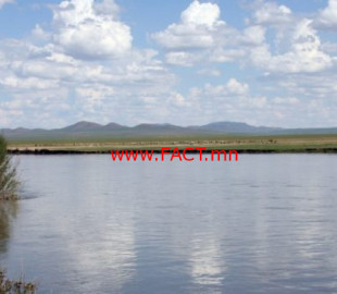 olloo_mn_1534478652_gol