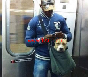 5c307b73620fb11000ef43062042042d