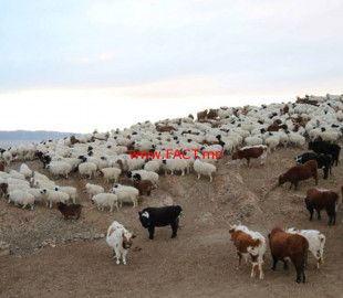 image_1920x_5b02672380e92