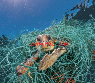 101683652_ngm_0618_plastics_007