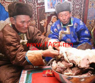 443ap0j8n2kbj88jv10o04pq89