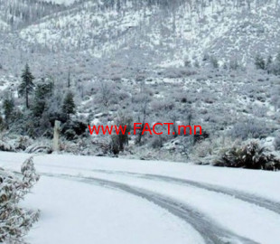 712-15402821525bced45b142f7