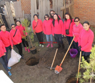 width2x_XlvMcaEfNKbJgn5