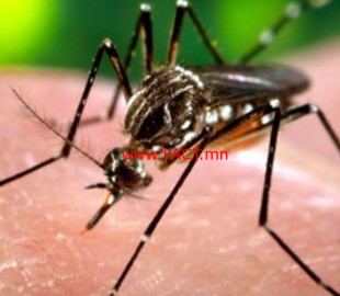 15414700035be0f7330f0e4