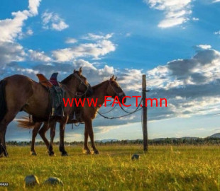 15435570215c00cf9d39a76