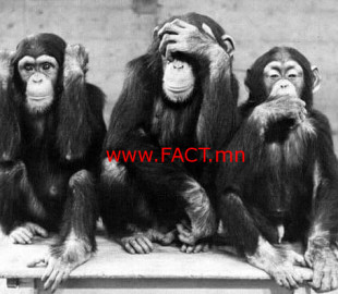 46452380_1965449100210135_5363421817690128384_n