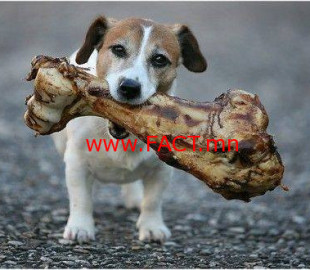 46493589_2027283857309760_2437887174524272640_n