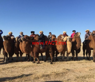 15445786325c10664807cdf