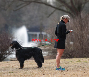 7e7e83a326abb3ebaa5443b1e2b0b7f2