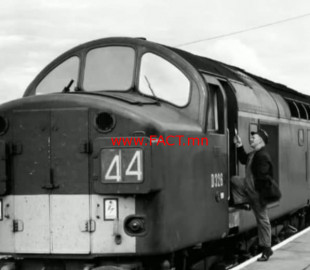 48396087_2204259243170093_8616388339253116928_n