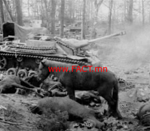 50314603_914990382224734_1745501492510457856_n