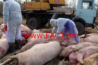 6ba0aba6c5b2832cgreat