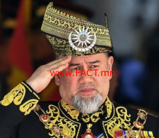 712-15483078815c494e8ac5029