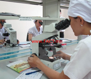 ded192a84410561699486d80516af986