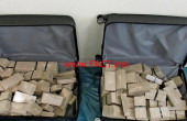 712-1561507202Dresdner-Zoll-findet-70-Kilo-Heroin-bei-falschen-Diplomaten_big_teaser_article