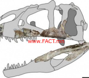 712-15707731135da018e26990a