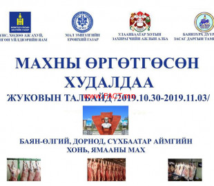 75371750_478693602989625_5825001794077458432_n