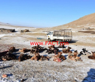 15736225105dcb92eef3ced