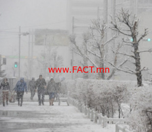 15748275495dddf61d35497