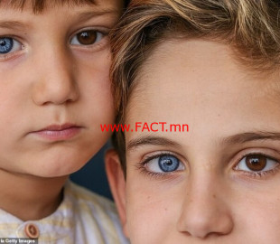 216cc23580217b7c9597c6f18fc35e48