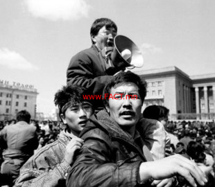 2c91c7_5170a41d7b98b1f4_x800