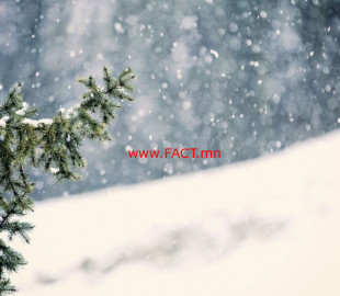 olloo_mn_1545094113_tsas