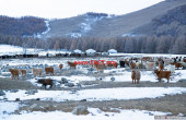 winter-images-of-mongolian-wilderness-12__880