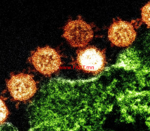 1125b9efdac5fdb9174da40be57c4642649cd4eb