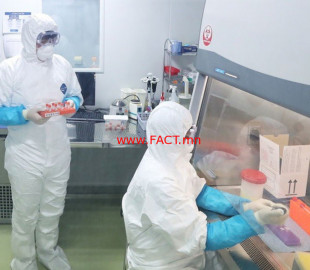 306d8fd80ca768ea58e7c00f6333dac0_x3