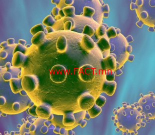 712-1581981207200108214800-coronavirus-super-tease