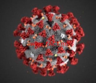 712-1583928939110764870_coronavirusmedium