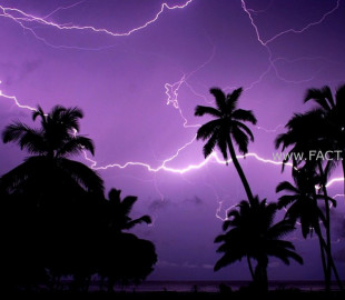 71ef881a9fd51f2fb915d171ee5817a6_x3